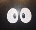 Heeler Puppy Felt/Vinyl Eyes Amigurumi Craft Eyes (1.5"-2.5")